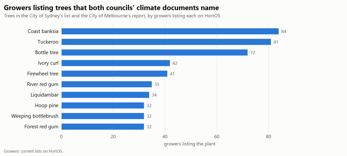 Bar chart of the growers listing trees named in both the City of Sydney's list and the City of Melbourne's report: coast banksia leads, then tuckeroo and bottle tree.